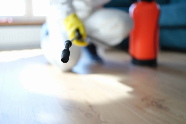 Best Environmental Consulting for Mold Prevention  in New Brunswick, NJ
