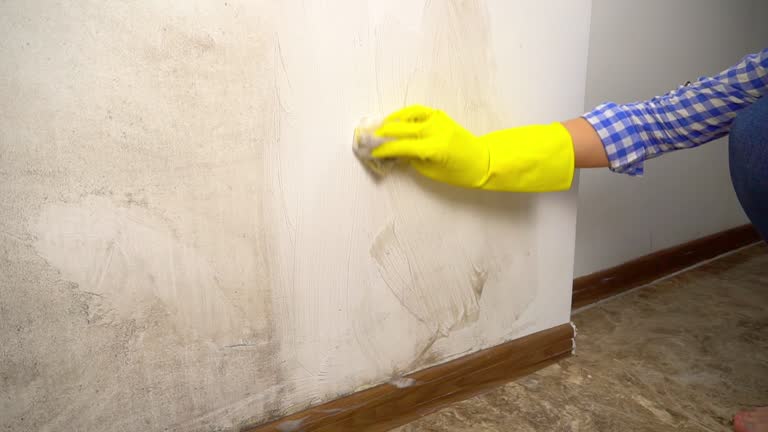 Forensic Mold Investigation in New Brunswick, NJ