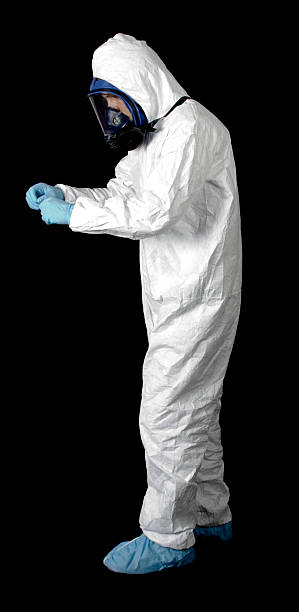 Best Basement Mold Removal  in New Brunswick, NJ