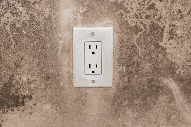 Best Mold Prevention Services  in New Brunswick, NJ