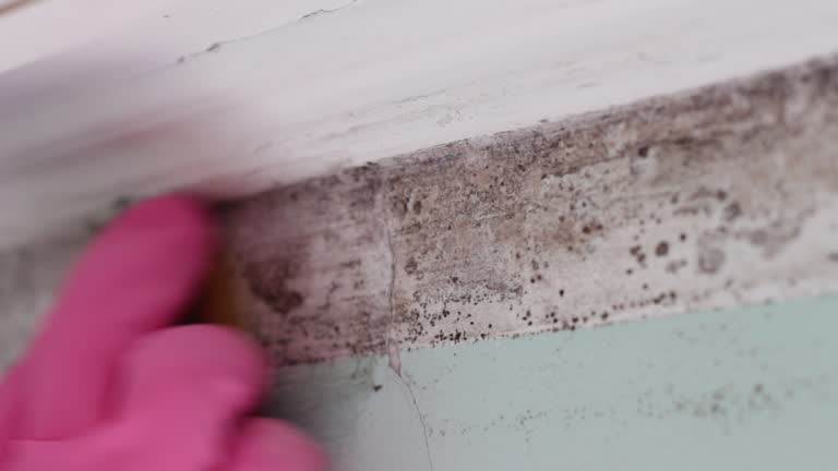 Best Airborne Mold Testing  in New Brunswick, NJ
